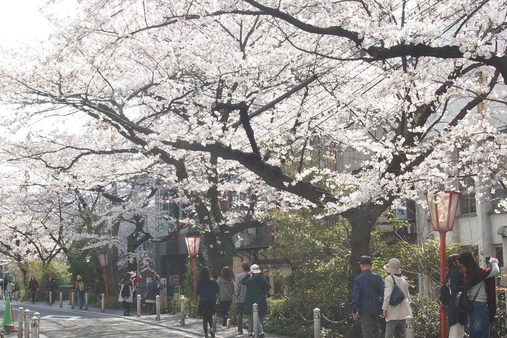 Bijuu Hotel Kyoto Exterior photo