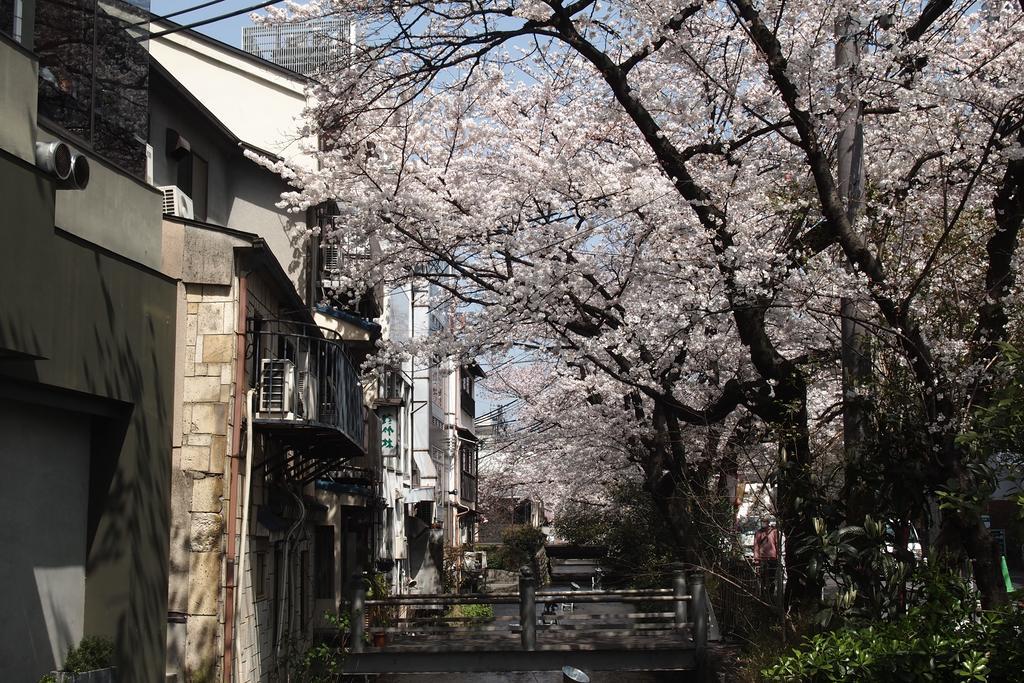 Bijuu Hotel Kyoto Exterior photo